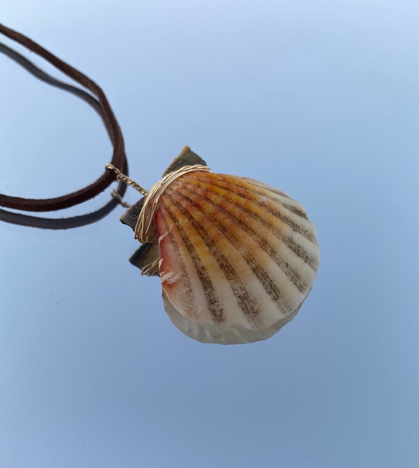 Seashell Pendant Necklace